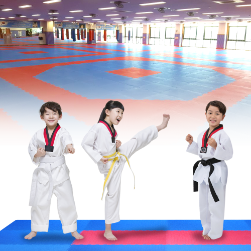 Thảm Taekwondo, Thảm EVA, Thảm thể thao